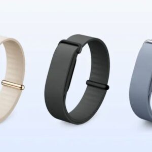 Google Fitbit Air