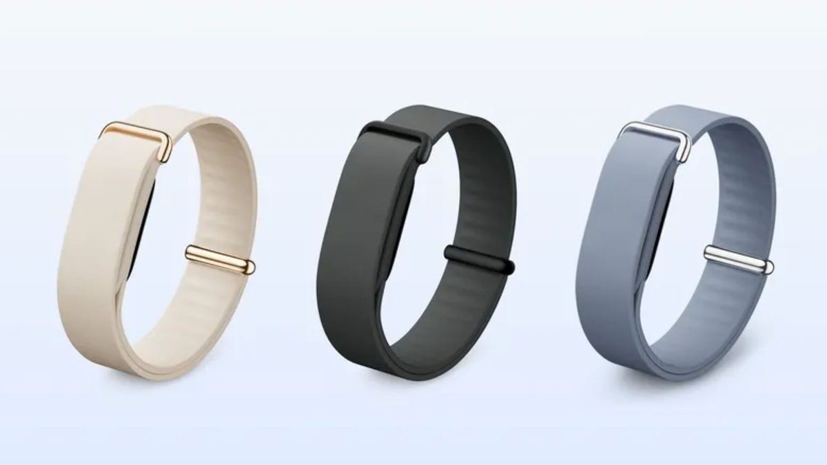Google Fitbit Air